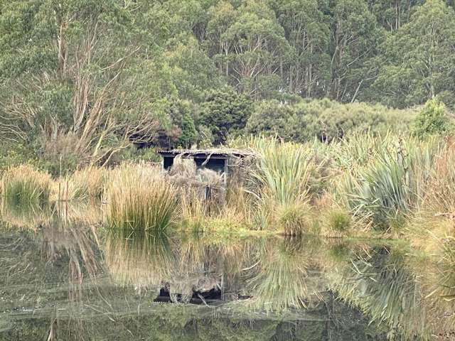 600 Marshall Road Awarua Wetlands_2