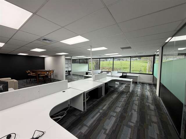 2A Augustus Terrace Parnell_2