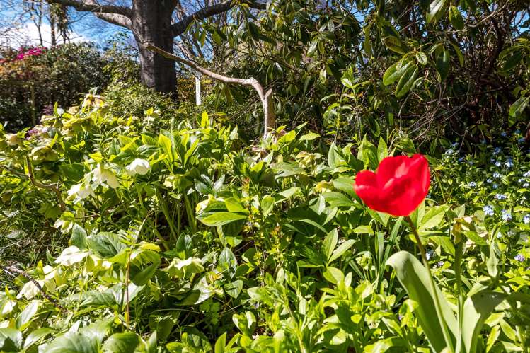 82 Point Bush Road Waimate_28
