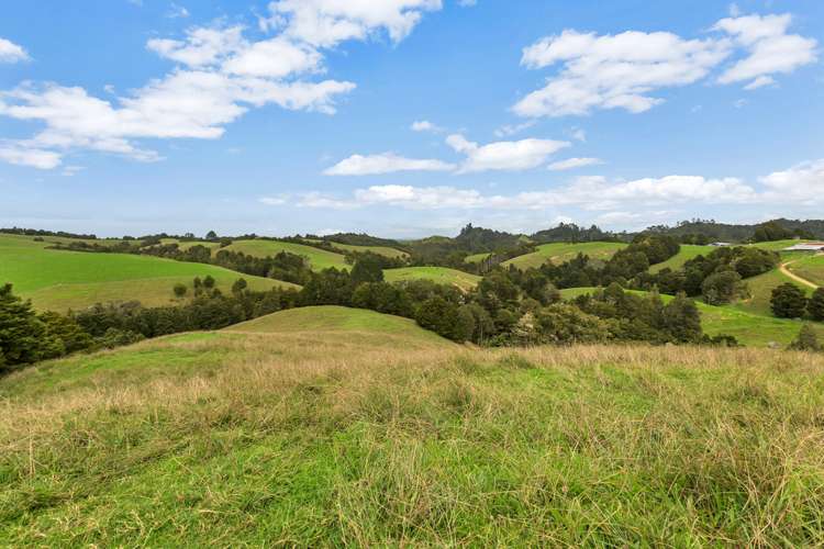 450 Kaiikanui Road Hukerenui and Surrounds_4