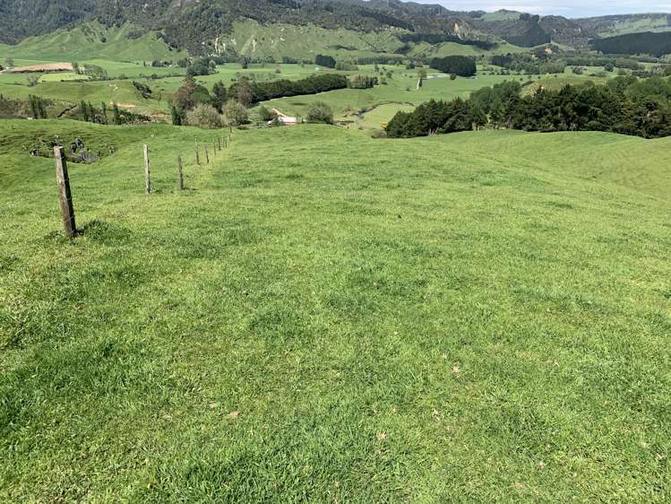 2896 State Highway 3 Awakino_29