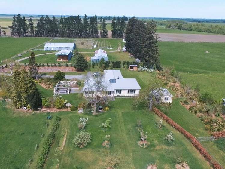 245 Goughs Crossing Road Ashburton Forks_7