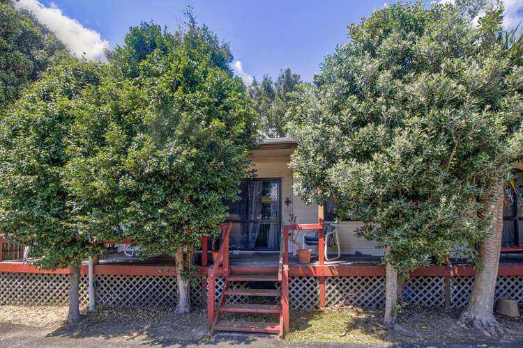 231 Finlayson Avenue Clendon Park_12