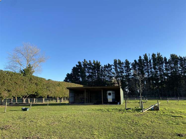 51 Ivey Road Templeton_19