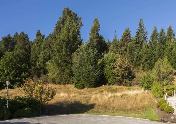 7 Pinnacle Place Queenstown_6