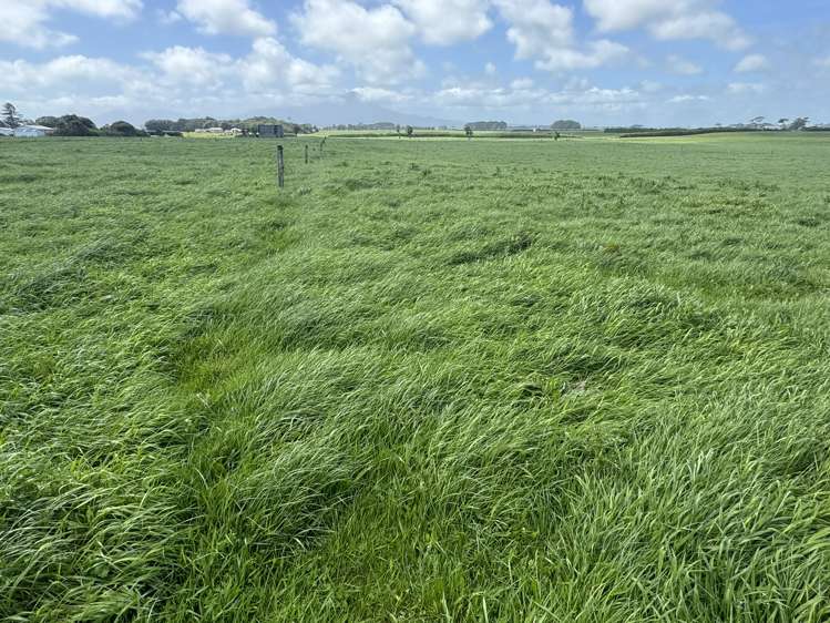 4782 South Road Opunake_15