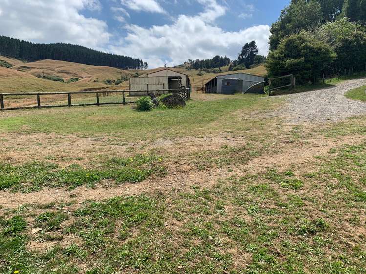 233 Goble Road Paeroa_8