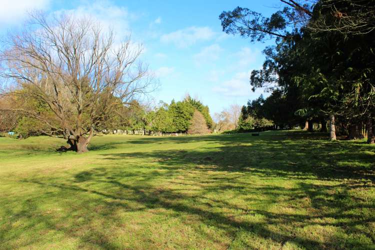 89 Victoria Avenue Dannevirke_8