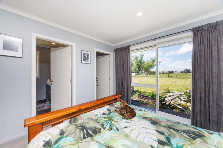 247 Te Ngaio Road Bunnythorpe_10