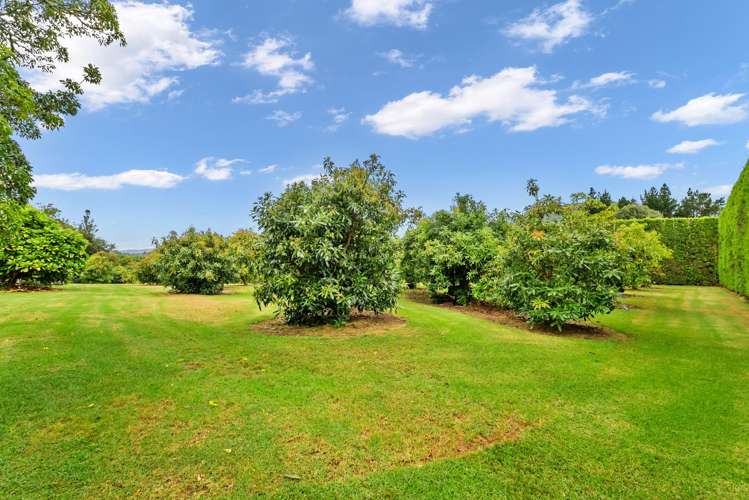 1614 State Highway 14 Maungatapere_7