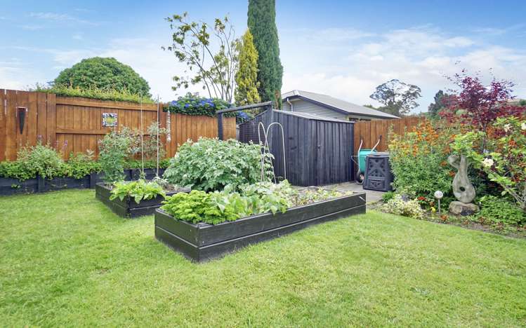 6 Norm Freeman Drive Te Puke_15