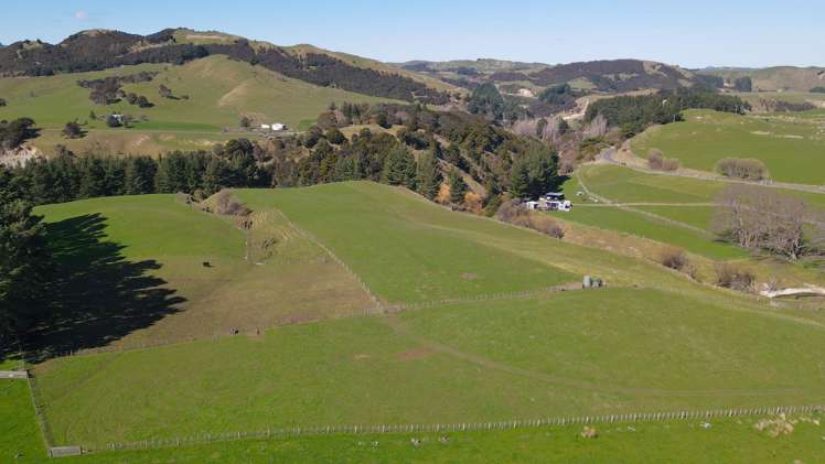 3345A Weber Road Dannevirke_23