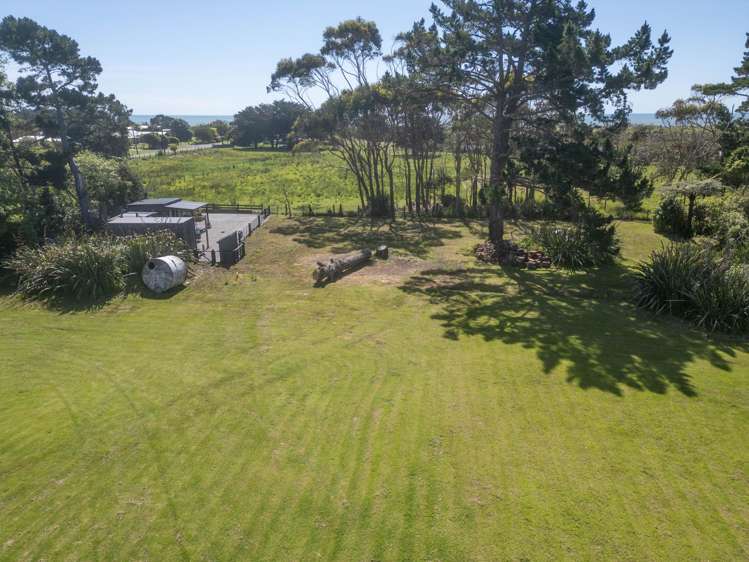 Pandora Avenue Camerons_21