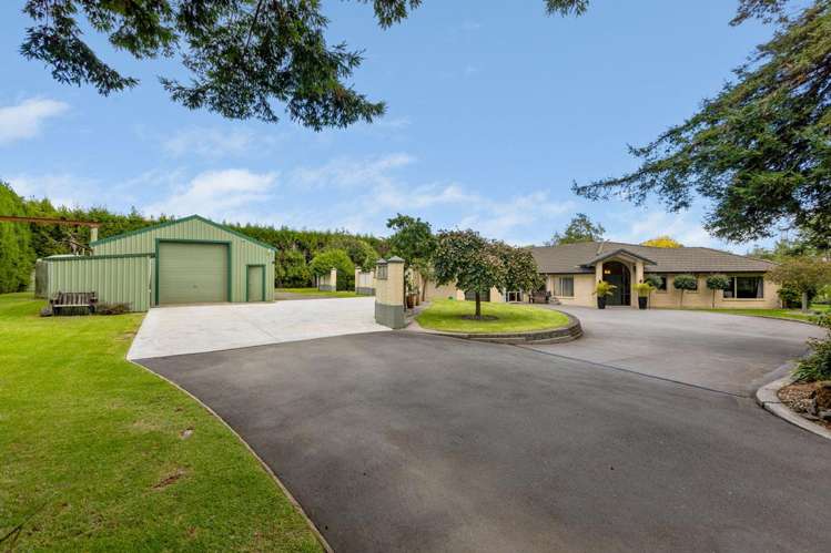 173 Dorset Road Hillsborough_22