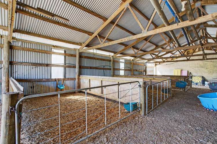 271 Pataua South Road Pataua South_17