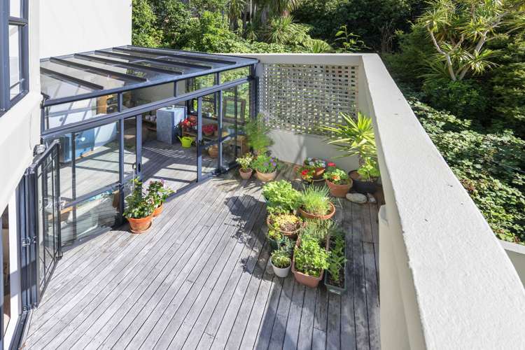 2/79 Grafton Road Roseneath_5