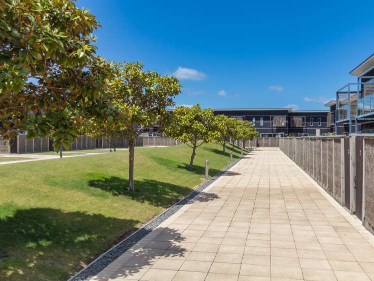 20/9 Humber Street Pandora_22