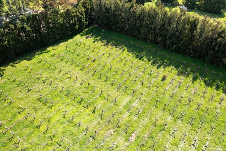 1374 Pipiwai Road Ruatangata_13