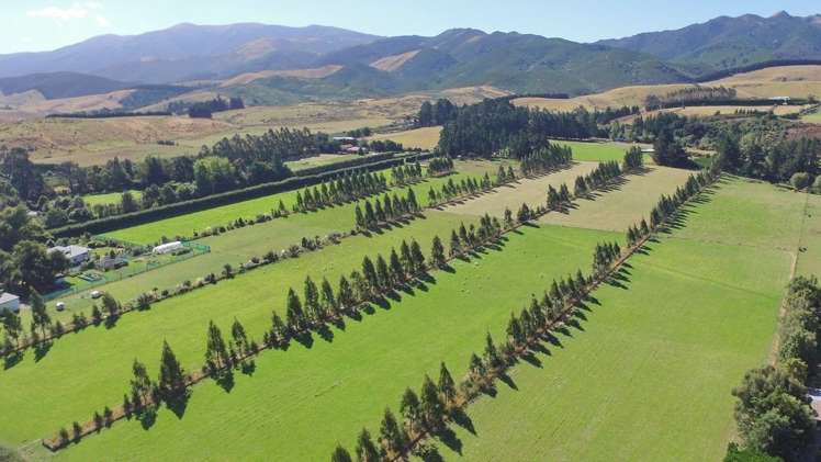 314 Bush Road Oxford_2