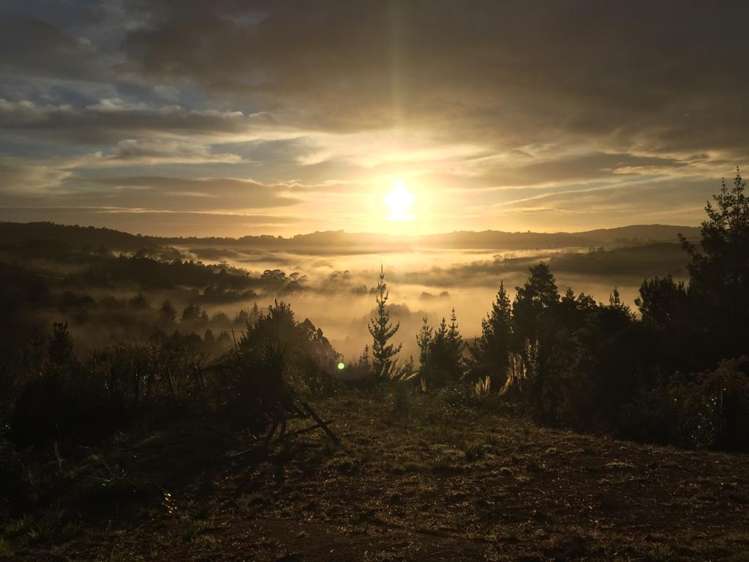 61 Alpine Road Kaukapakapa_18