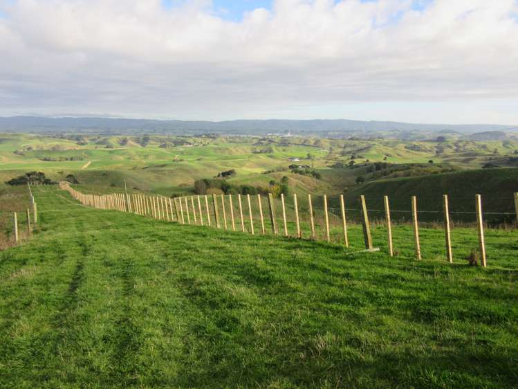 297 Kaitawa Road Pahiatua_18