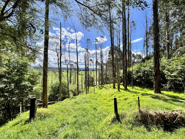 637a Awahou Road Murupara Surrounds_18