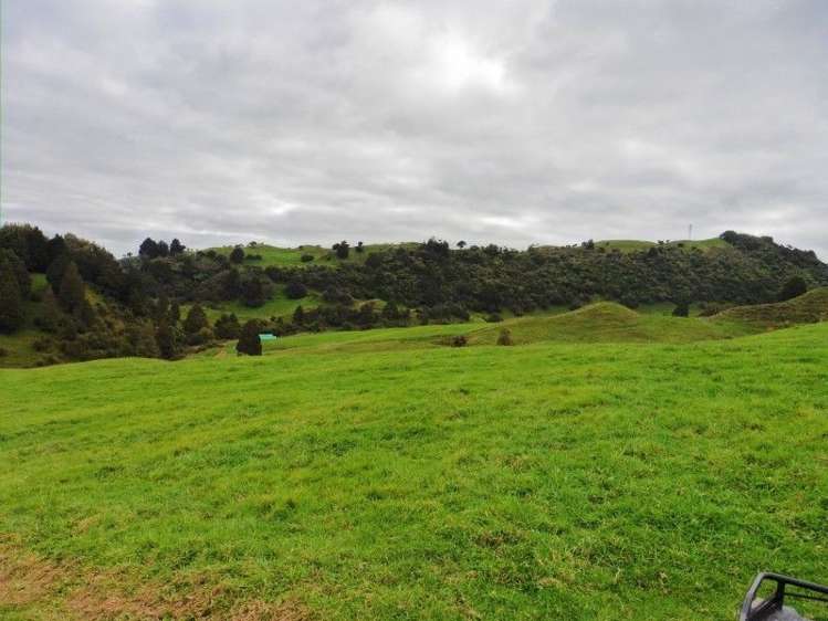 2837 State Highway 4 Aria_6