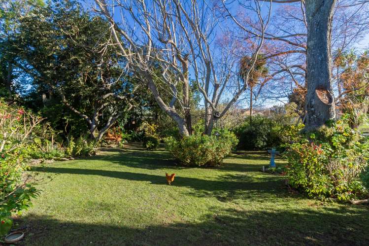 82 Avondale Road_2