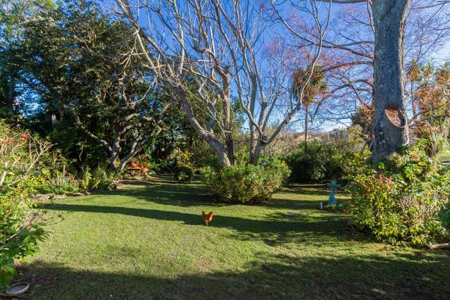 82 Avondale Road Taradale_2