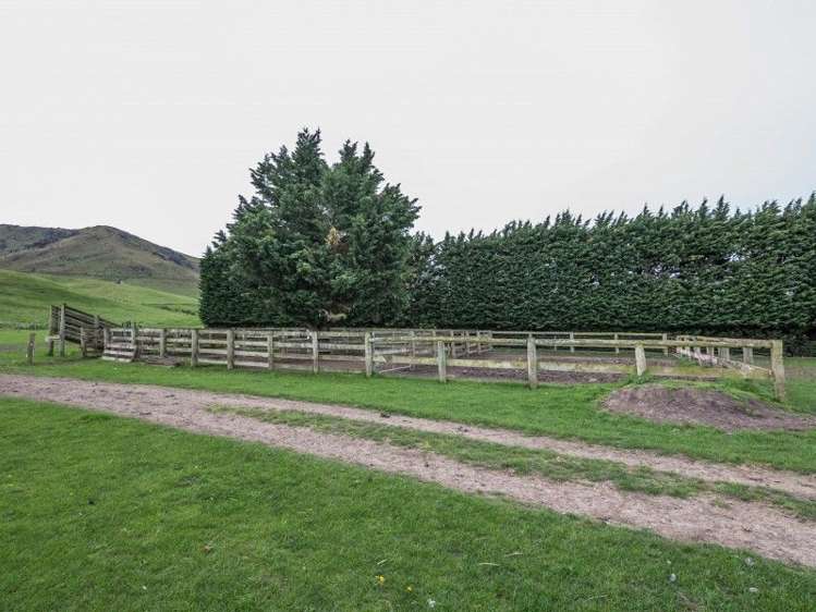 230 Taruna Road Hawarden_10