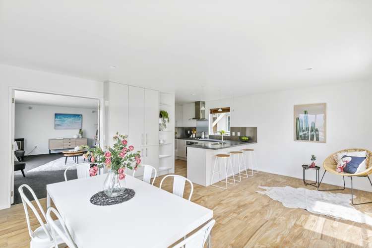 2b Pearce Street Vogeltown_7