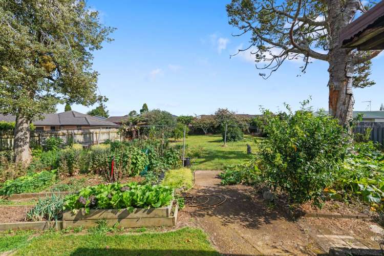 77 West Street Pukekohe_7