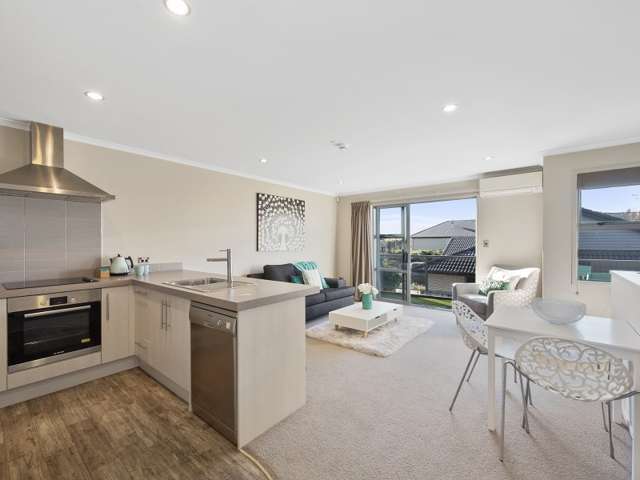 3 Stadium Lane Whitiora_3