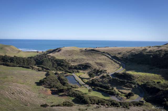 1517 Whaanga Road Raglan_4