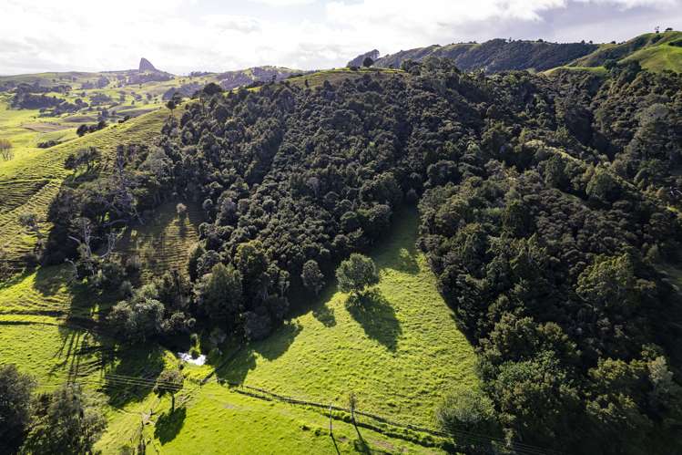 5562 State Highway 12 Arapohue_28