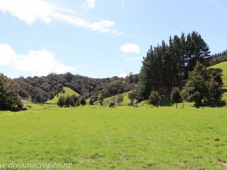 242 Owae Road Russell Surrounds_23