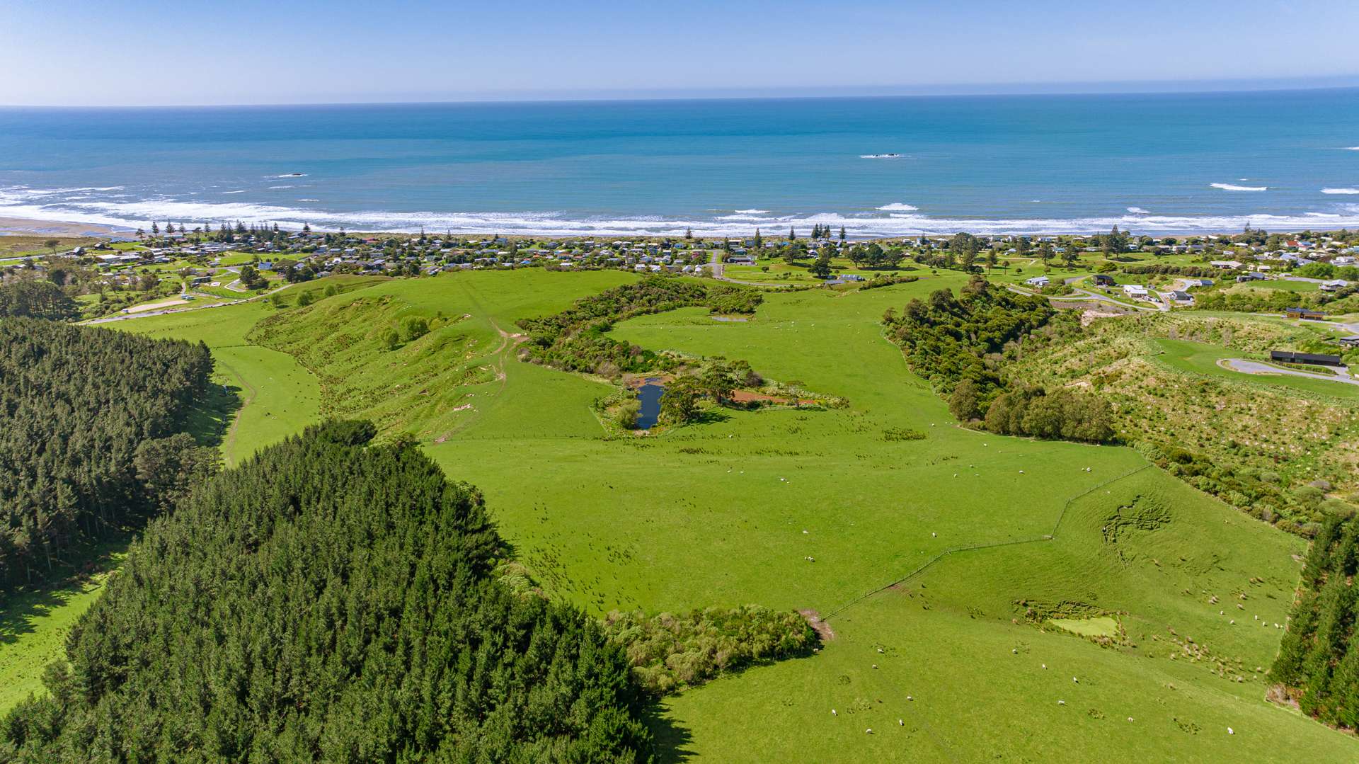 Lots 4-7 Elevations Riversdale Beach_0