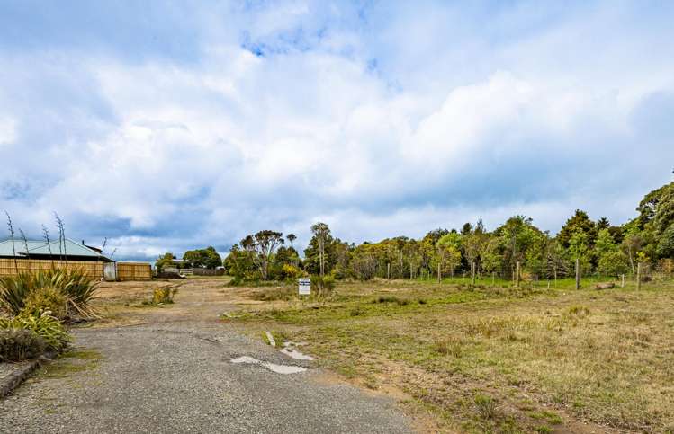 20 Waimarino Tokaanu Road National Park_15