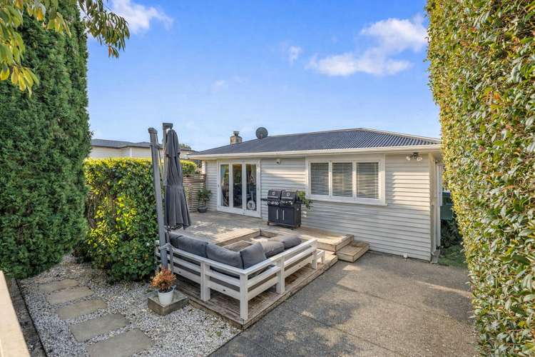 3 Arundel Street Hillsborough_15