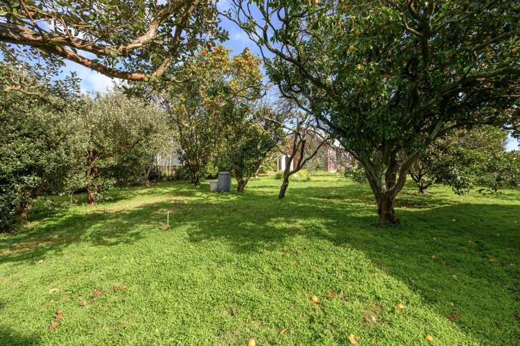 55 Smiths Road Matua_2