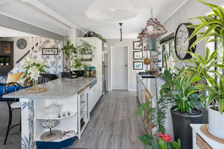 17 Webster Place Picton_5