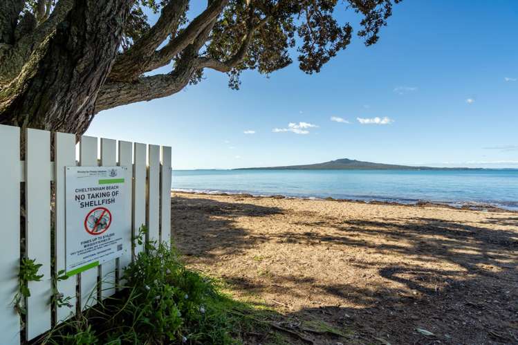 2 Grove Road Devonport_24