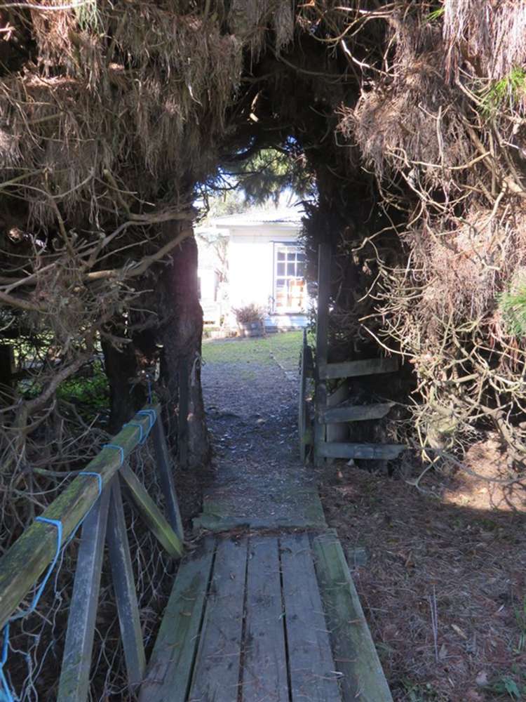 208 Woodbury Road Geraldine_7