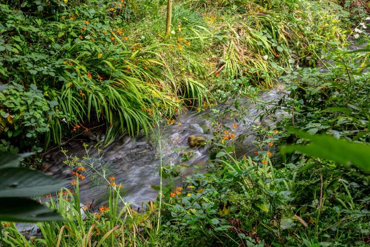 80 Johnston Street Featherston_19