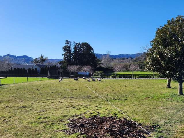 9b Cameron Road Gisborne_4