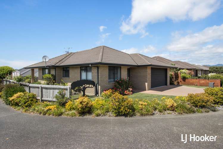 33 Malta Crescent Katikati_0