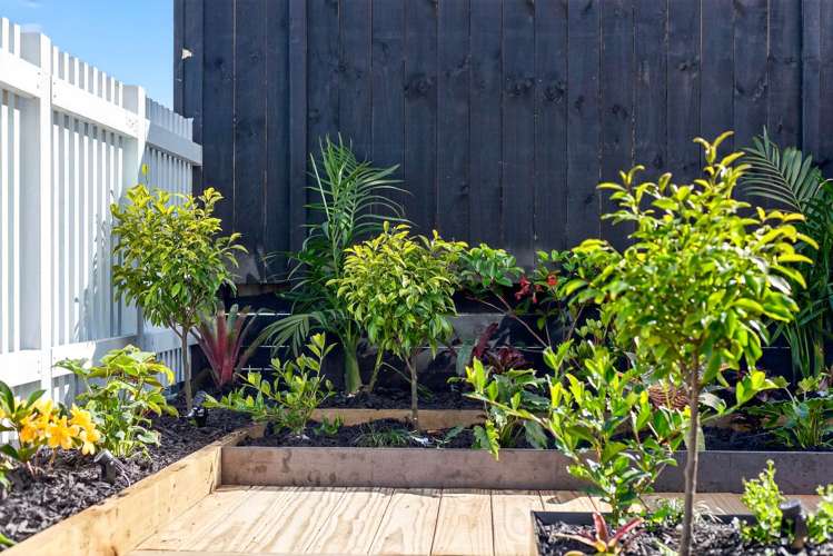 21 Habitat Place Hobsonville_21