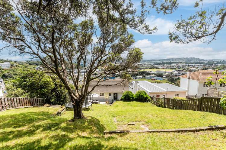 20 Elphinstone Avenue Strathmore Park_11