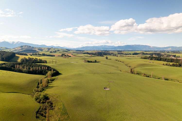 Rowallan Road Darfield_11