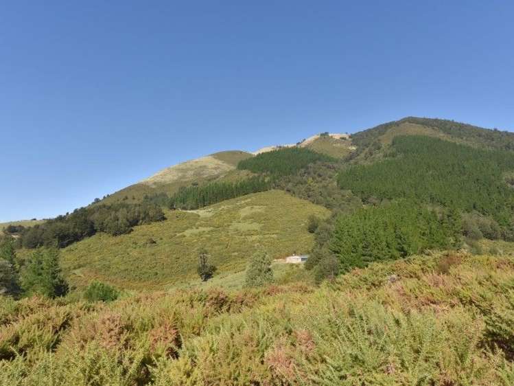 446 Glentui Bush Road Glentui_42